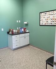 The Pet Wellness Group: Hebron image 15