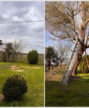 Entretien Jardin 47 image 13