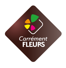 Carrément Fleurs - Fleuriste Aiguilhe Le Puy-en-Velay 43 - Livraison de fleurs à domicile logo