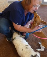 Carbon County Veterinary Hospital image 9