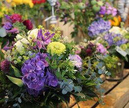 Blumen Eichenberger Horgen Bild 3