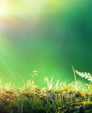 AUDIT RENO - Bureau d'études Thermique et Fluide image 10