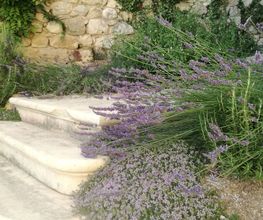Jardinservice SARL image 4
