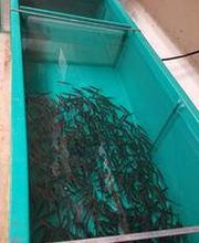 Silver Lake Home Center image 8