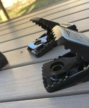 Sebastien Anti Nuisibles image 9