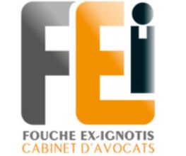 Fouche Ex Ignotis image 2