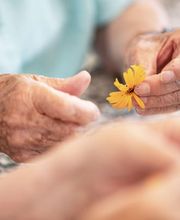 Wienerberg Wohn- und Pflegehaus Bild 11