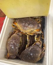 Park Hill Supermarket image 12