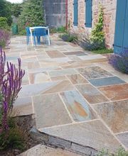 Tilly Paysage et Pépinière image 5