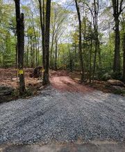 Happy Stump Tree Service image 6