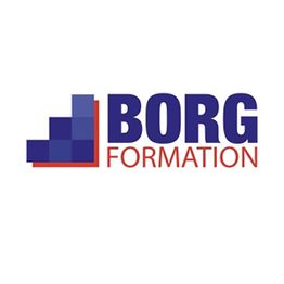 Borg Formation