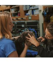 Santa Monica Pet Medical Center image 3