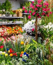 La Foir Fouille image 13