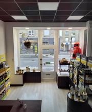 Breizh Nuisibles Services image 6