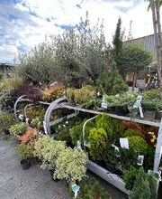 Bricomarché Chauny image 2