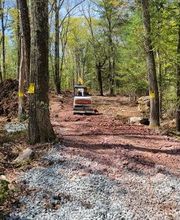 Happy Stump Tree Service image 12