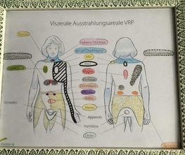 Physio - José Bild 6