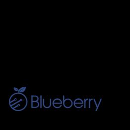 Blueberry IT
