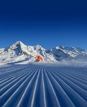 Jungfrau Ski Region - Kleine Scheidegg - Männlichen - Wengen Bild 5