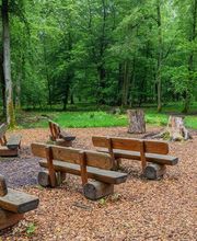 FriedWald Imsbach Bild 8