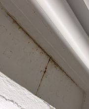 Robi Bau Service Bild 2