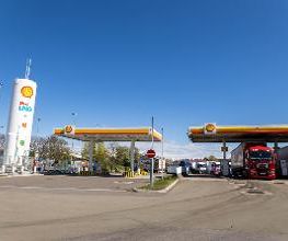 Shell Bild 1