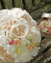 Schöne Blumen Floristik & Gartenbau Bild 1