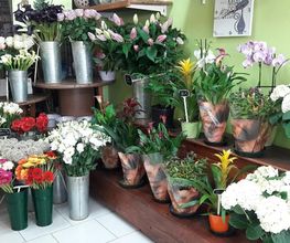 Le Jardin de Stelly image 17