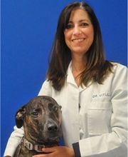 Caring Hands Animal Hospital - Centreville image 8