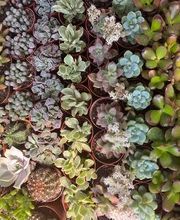 Villaverde Grimaud image 15