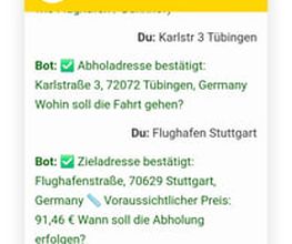 Renna Taxi Bild 10