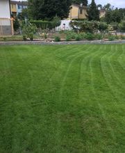 Schmocker & Co. Gartenbau GmbH Bild 5