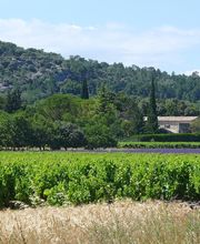 Miranda Christine Immobilier image 3