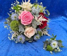 Blumen Haider Bild 18