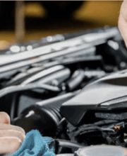 PNEUHAUS ARIFA SABANI GD Bild 2