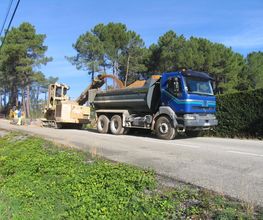 Leyris Sas image 5