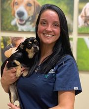 Towne Center Animal Hospital and Pet Hotel image 1