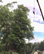 Jardins Arborés image 1