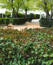 VITALIA HOME | Residencia de Ancianos Nambroca imagen 1