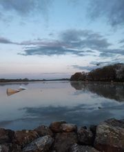 Lebasque Geraldine image 8