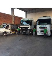 Gallery Cliente