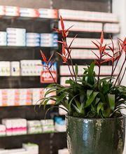 Apotheke am Rott Bild 4