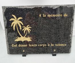 Séguéla Régis image 19