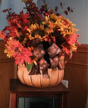 Minnillo & Marshall Dental - Elyria image 15