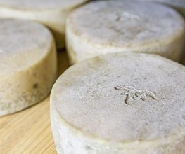 Fromages & Compagnie image 1