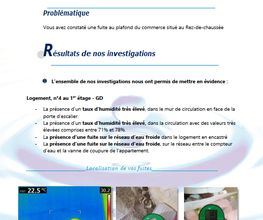 France detection image 8