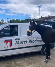 Moret - Brodmann AG Bild 5