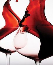 Revista Enólogos imagen 1