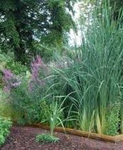 Ria Assainissement image 1