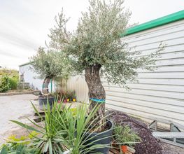 Jardin Services EURL image 8